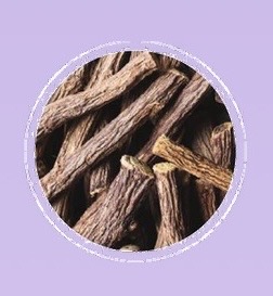 لیکوریش