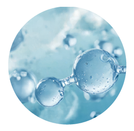 hydrolyzed glycosaminoglycan